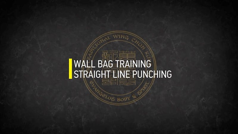 P1 WALL BAG TRAINING STRAIGHT LINE PUNCHING