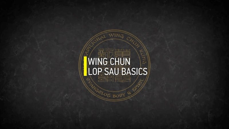 wing chun lop sau Basics